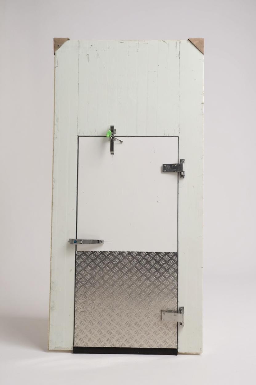 Flush Mounted Cold Room Door
