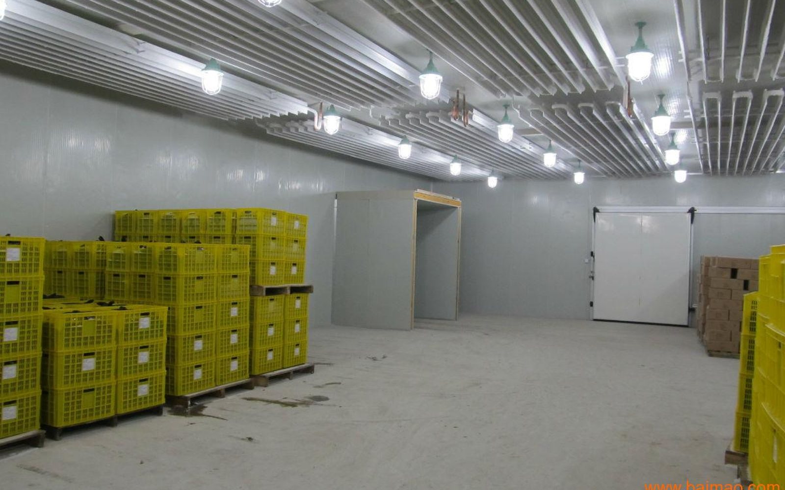 Fruit and vegetable cold room with crates and ceiling air distribution