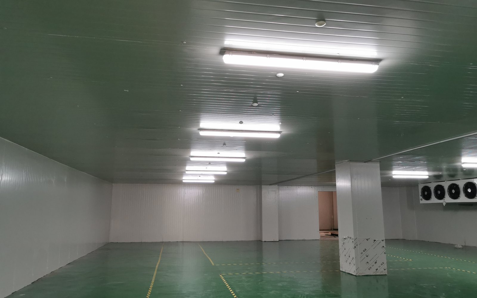 Seafood cold storage room interior with insulated panels and unit coolers