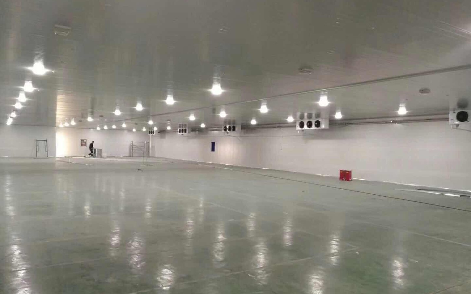 Large low-temperature cold storage room interior with insulated panels and unit coolers