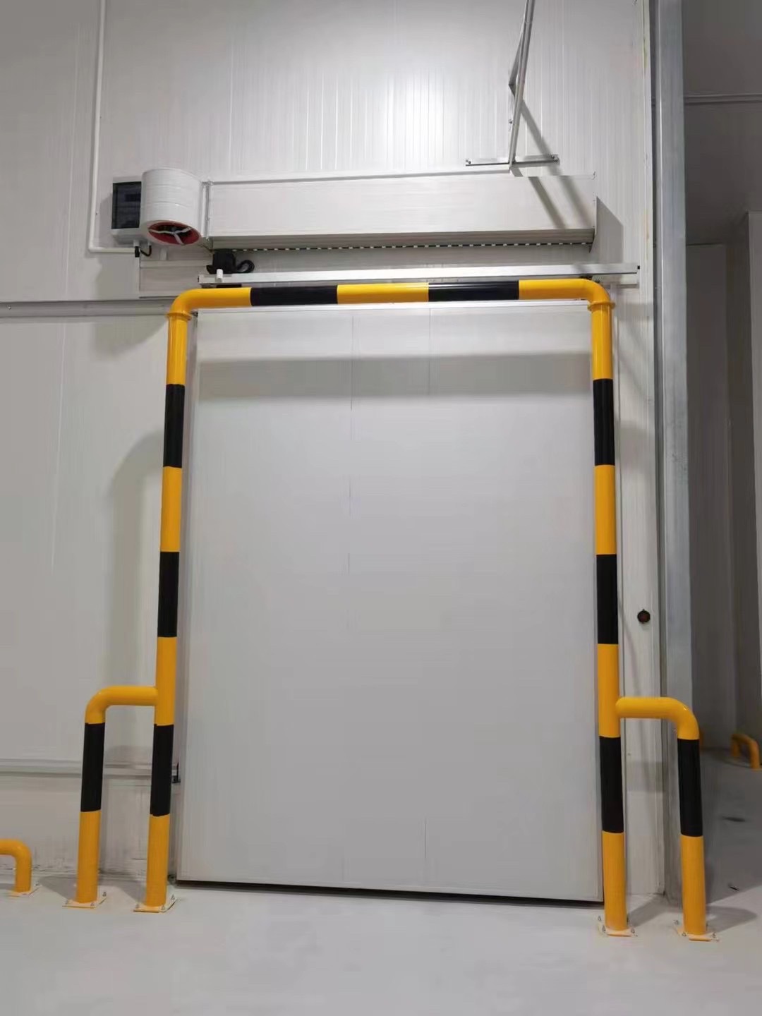 Electric Sliding Door