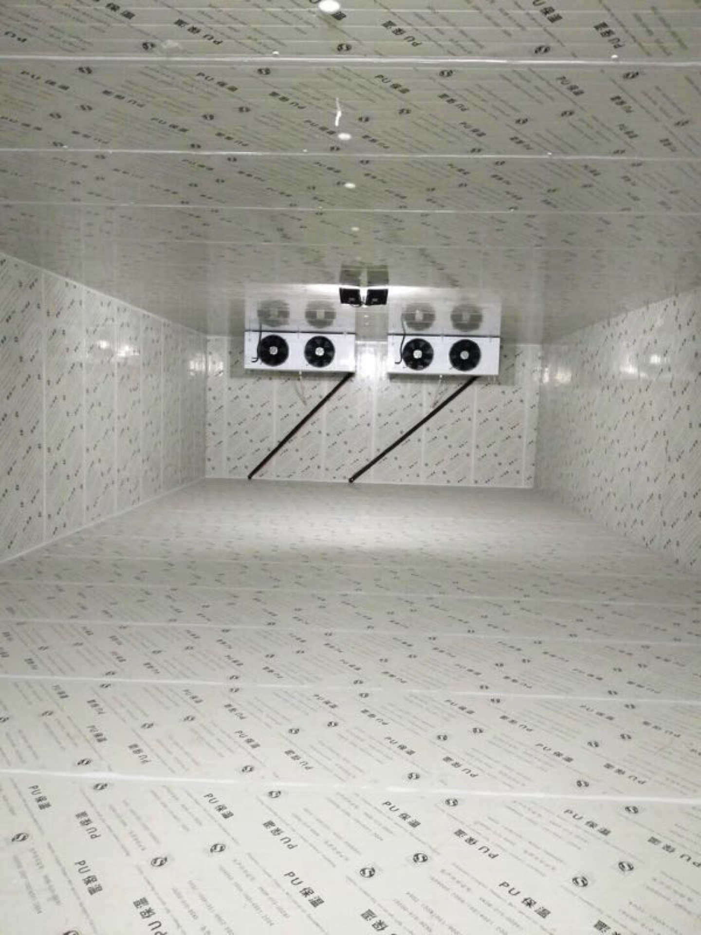 Walk-in Cold Room Photo 2