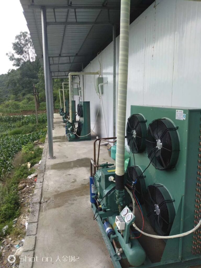 Multi-Room Cold Storage with Outdoor Refrigeration Units