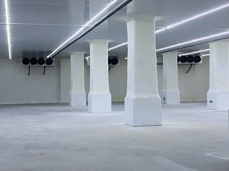 Columned Cold Storage Hall with Air-Cooled Units project installation