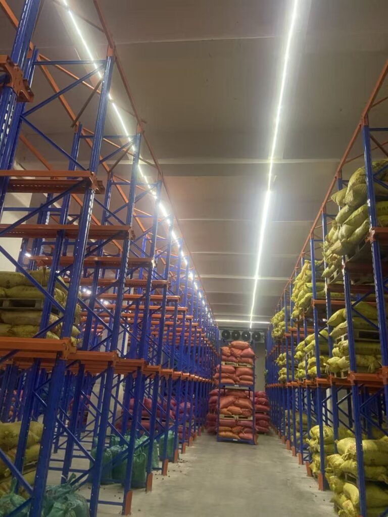 High-Bay Refrigerated Warehouse with Pallet Racking
