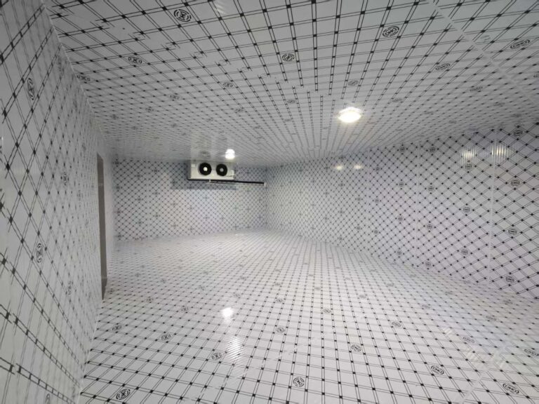 Walk-In Cold Room with Insulated Floor Panels project installation