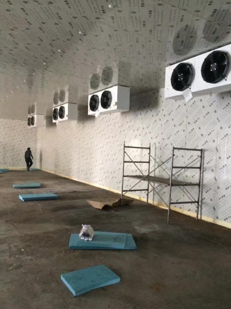 Large Cold Room Installation Inside an Existing Building