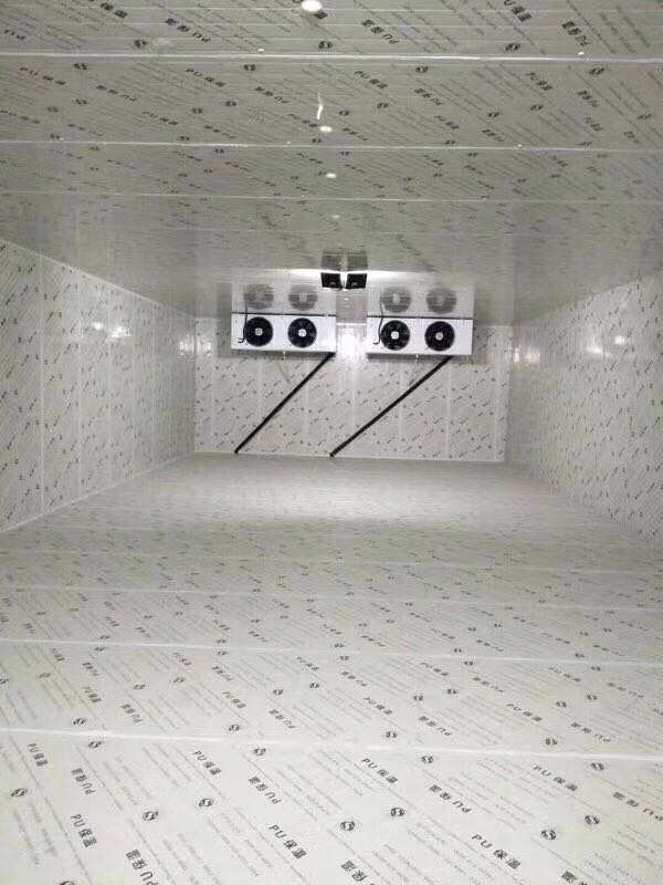 Multi-Room Cold Storage with Packaged Refrigeration Units