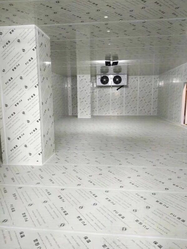 Multi-Room Cold Storage with Packaged Refrigeration Units