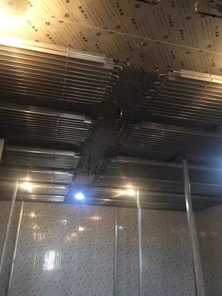 Cold Room with Ceiling-Mounted Pipe Evaporator Coils