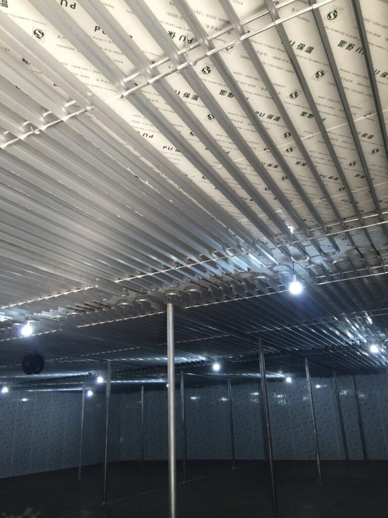 Cold Room with Ceiling-Mounted Pipe Evaporator Coils