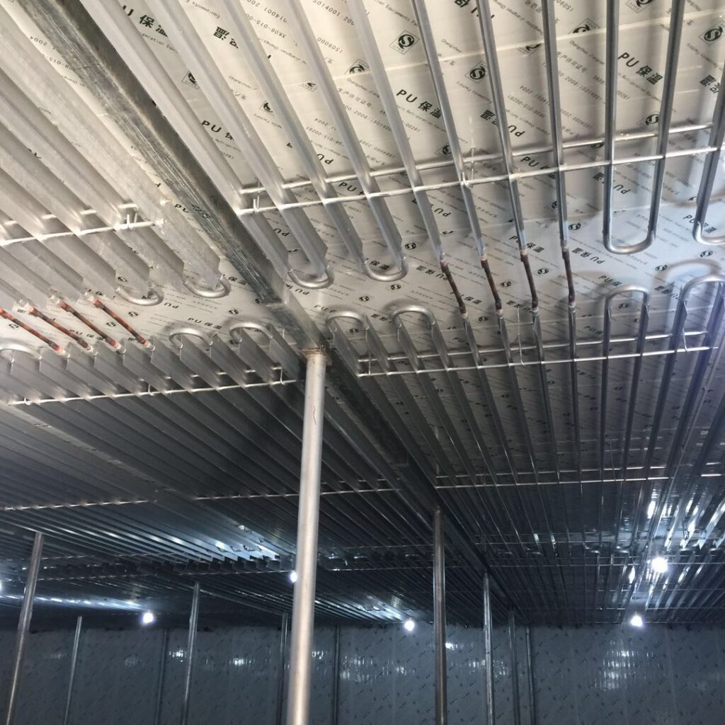 Cold Room with Ceiling-Mounted Pipe Evaporator Coils