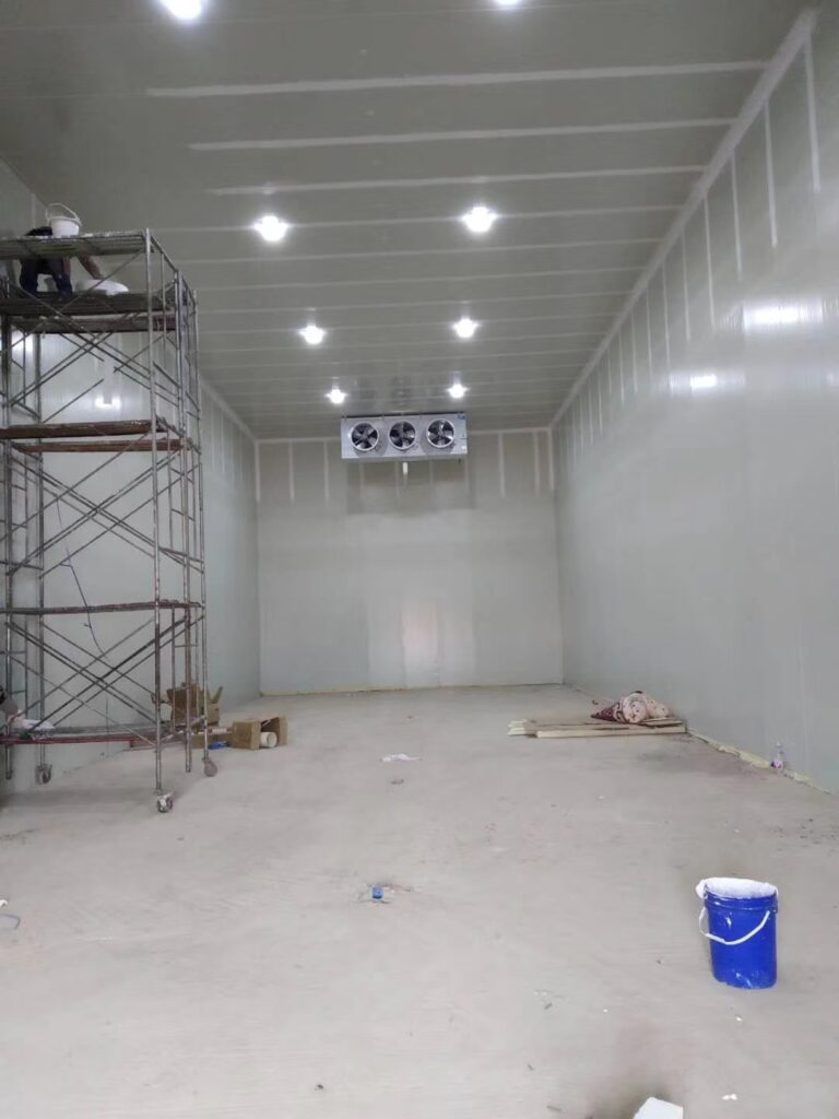 Cold Storage with Central Refrigeration and Suspended Ceiling Panels
