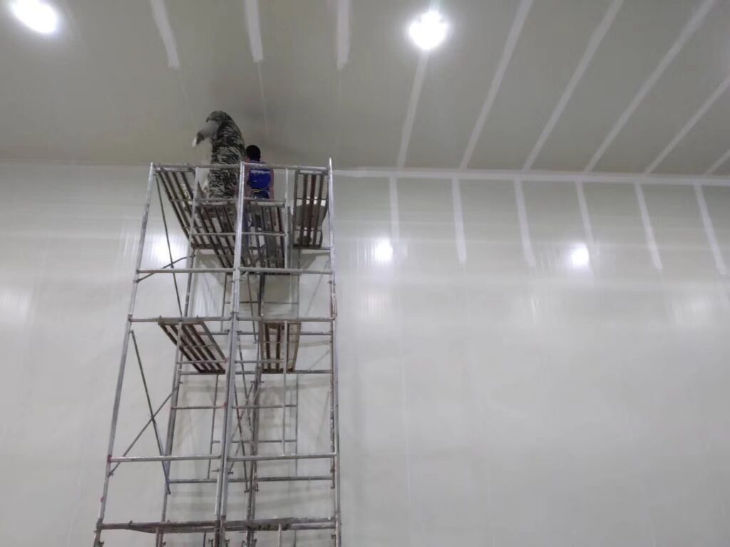 Cold Storage with Central Refrigeration and Suspended Ceiling Panels project installation