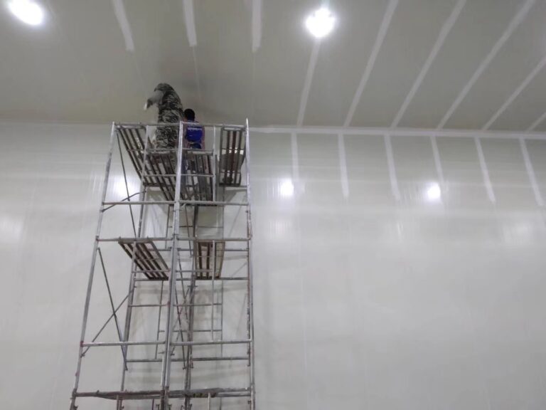 Cold Storage with Central Refrigeration and Suspended Ceiling Panels project installation