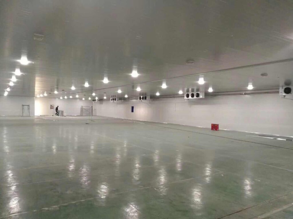 Large-Scale Refrigerated Warehouse with Central Refrigeration Plant project installation