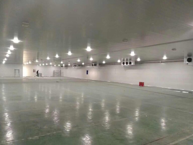 Large-Scale Refrigerated Warehouse with Central Refrigeration Plant project installation
