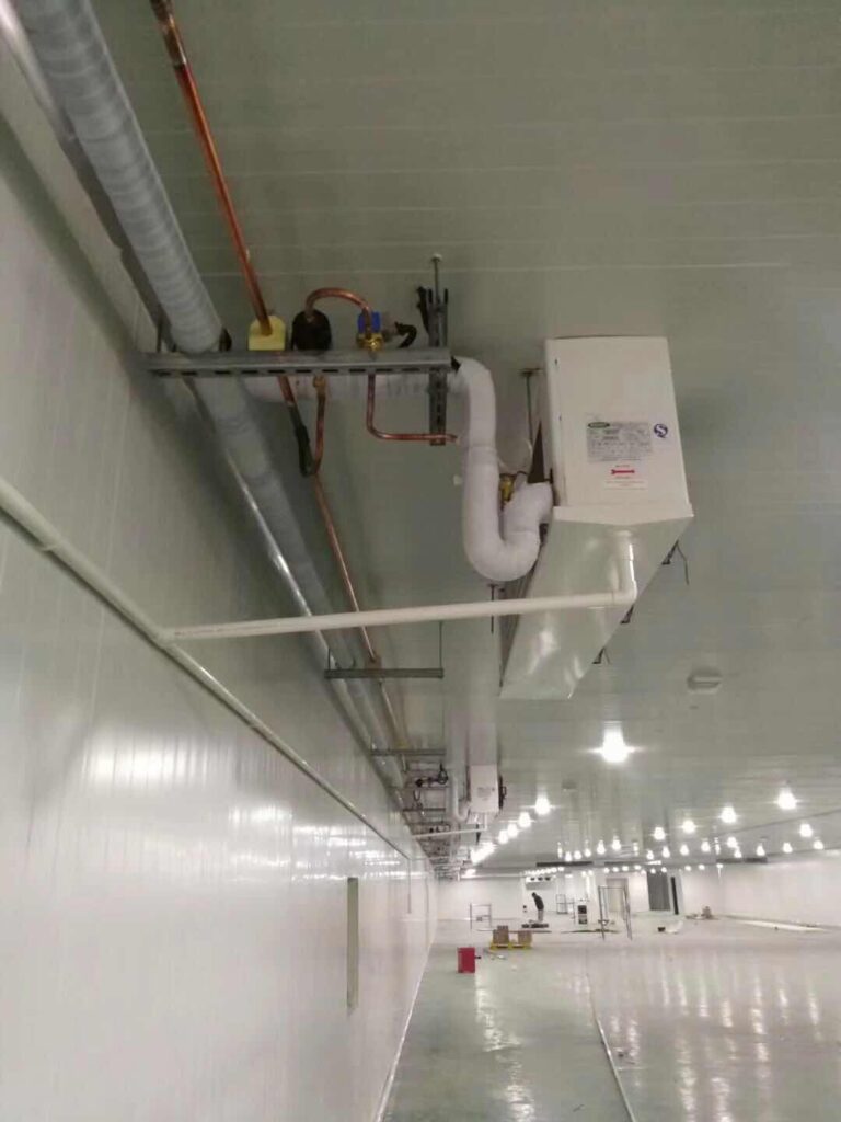 Large-Scale Refrigerated Warehouse with Central Refrigeration Plant
