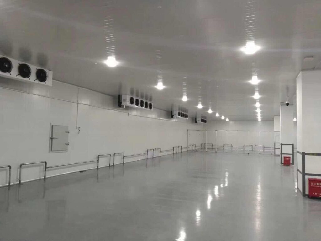 Large-Scale Refrigerated Warehouse with Central Refrigeration Plant