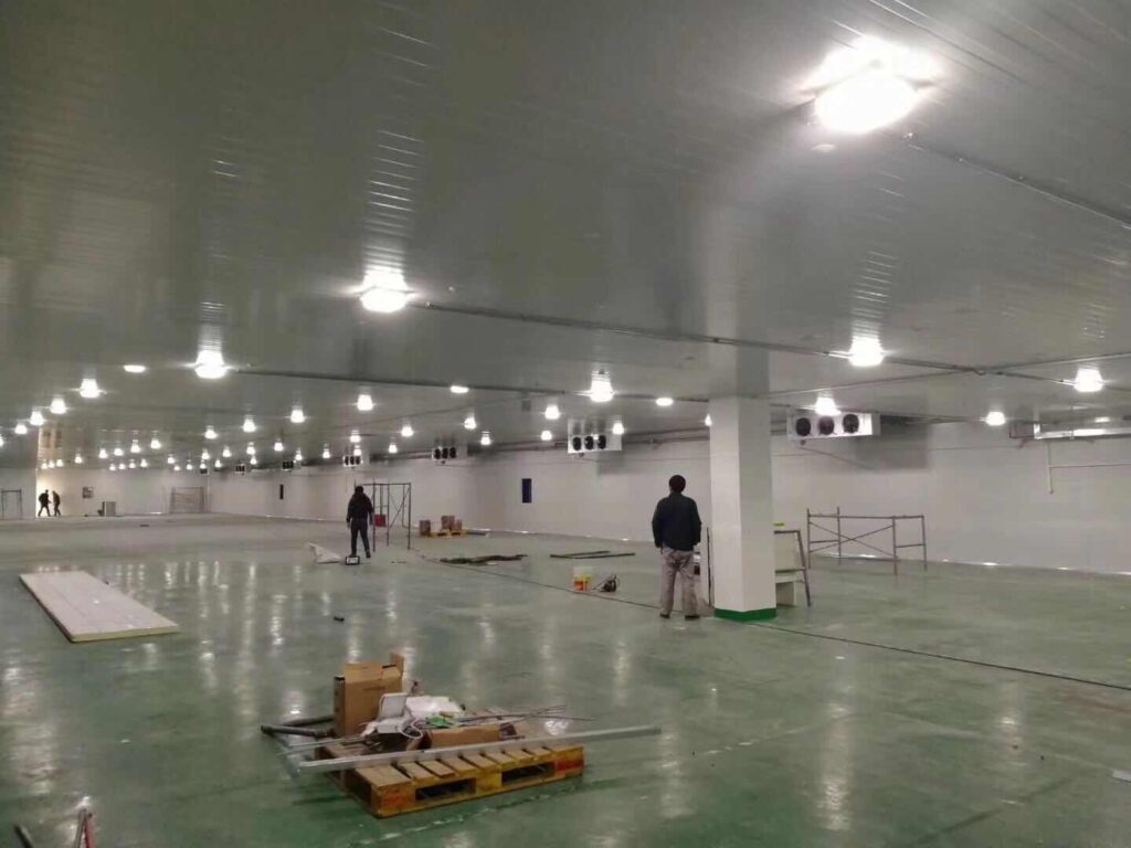 Large-Scale Refrigerated Warehouse with Central Refrigeration Plant
