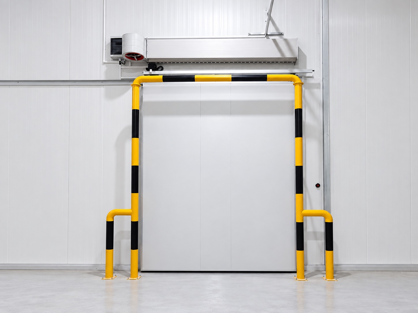 Electric Sliding Door