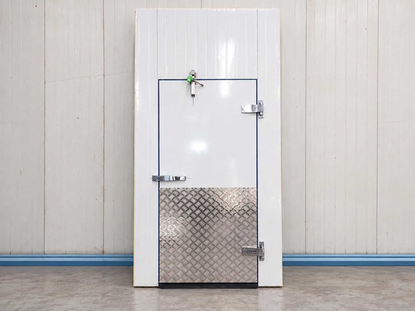 Flush Mounted Cold Room Door